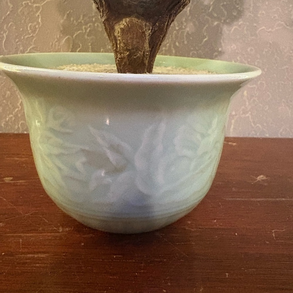 Vintage Jade Bonsai Tree - Picture 4 of 15